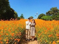 入心.经典的句子