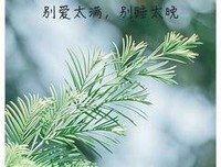 千寻句子大全