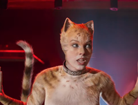 《猫咪后院之家》经典影评1000字