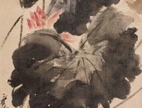《百花盛开的国度》的观后感大全