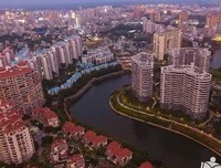《龙先生》经典观后感有感