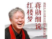 《蒋勋细说红楼梦》读后感锦集