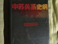 中苏关系史纲读后感1000字