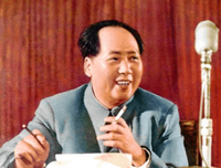 毛泽东品评四大名著读后感摘抄