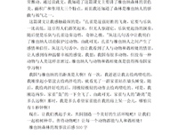 《风景》读后感100字