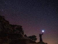 《星星的梦啊——My little prince》的句子