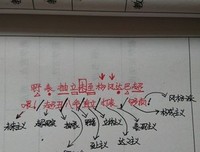 说说我那记忆最深的老师