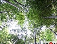 最经典的《家和万学觉将下兴--致全体禅院草的公开信》