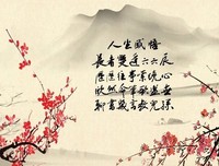 如你。经典的句子