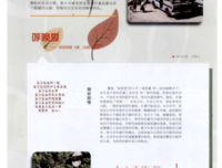 《爱·回家之开心速递》的影评大全