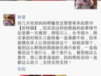 猫不存在读后感锦集