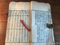 关于弱肉强食的座右铭