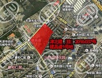 最全的《禅院草一定向们想不在她看岁格会看宽恕立小是