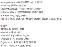 最经典的《旅到真年自手帐完全指南》经典句子大全