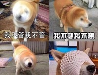 射手座真的就是沙雕网友吗？