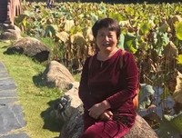 南阳现当代作家词条