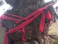 笙歌乱，情丝绕，待回首物是人非。的句子