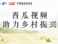 让视频制作人成为一种职业，西瓜视频升级进行时