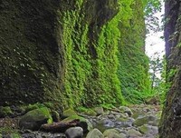 有关峰回路转的美文美句摘抄