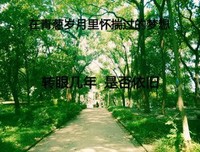 汐句子大全