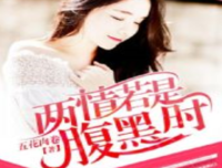 小三前妻老婆