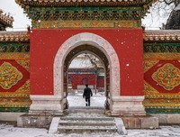 京城十案读后感摘抄