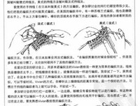 《风靡北欧的针织小物》读后感摘抄