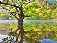 青城名句欣赏