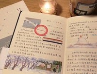 《雪落香杉树》的读后感大全