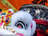 手舞足蹈的名句_关于手舞足蹈的名句