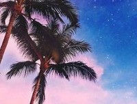 描写悲天悯人的经典句子