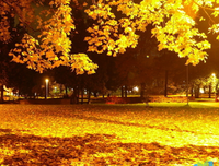 描写岌岌可危的语句摘抄