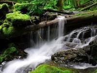 触痛了我的心句子大全