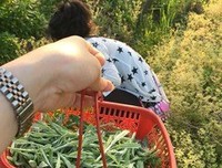 你现在过的生活是你想要的吗​？​