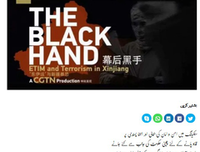 《巍巍天山——中国新疆反恐记忆》影评摘抄