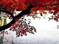倾听的句子