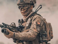 《副总统》经典观后感1000字