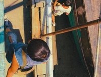 隐秘的角落：被男权社会反噬的男人们
