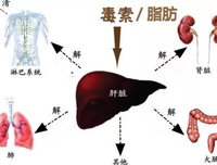 描写肝胆相照的语句摘抄