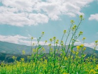 年度经典短文《尊重》