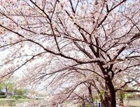 道走用里经典名句