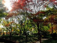 一个人也可以地看好优美的句子