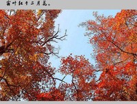 秋日呓语