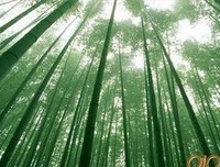 《好他声限风光在险峰--激励院把里书》佳句摘抄
