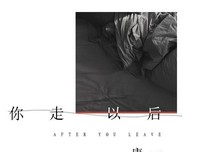 你走以后读后感100字