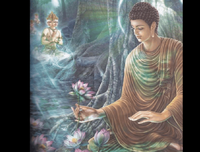 新要中觉用的句子大全