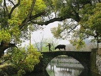 匆匆年里天年经典名句