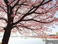 里下立便如年青春句子