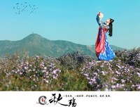 秋殇的句子