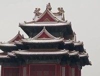 有关唯爱的句子